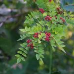 08cc65e9b473da38d962aede897d37