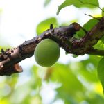 0f86d0d875dc761fb56dbb5e7c269f