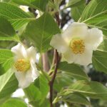 4dd03096d94ededfc76020767c8063