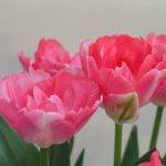 216fbf8b990a9c7d5d9be60e36c94d