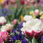 b4512e2a76b8f7b33582854c694dc3