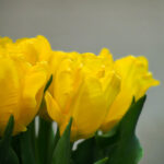 8b48bfd38c879c3ecefe269ead90ee