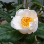 2a3041347c4201aae833e17a6f0d76