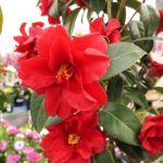 2b4b0d7bc5e7201d559043b71a917c