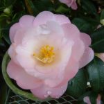 8372fe005ffea79dff27d9ea1626fe