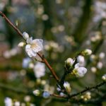 acb8520e5997cd2ea7e2a2f6e6cfbc