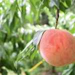 3e7e166b35ed9c275d5321900a1b6a