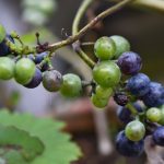 27d942d7c0ba659758f2049653ae8d