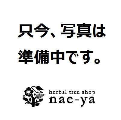 ライラック Nae Ya Herbal Tree Shop ハーバルツリーショップ なえや