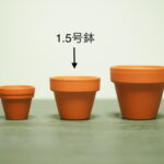 テラコッタ鉢 2個セット 約46cm 66F8C9ED-C7D0-4688-82BF-