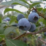 73b6fabf11ac8615e5a779aa22707b