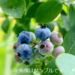 766e0bdeeac6e5f67954bee168f56f