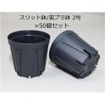 2個セット BOTANIZE YES GOOD BLACK MARKET プラ鉢