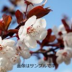 36b48581f8de9be87c8808d51cad42
