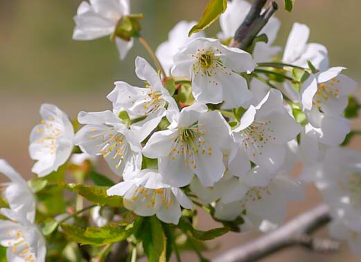 cf8ea2eed012907c82b6ca0f859fe2