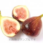 イチジク（無花果）：ロードス | nae-ya｜herbal tree shop ｜ハーバルツリーショップ なえやnae-ya｜herbal tree  shop ｜ハーバルツリーショップ なえや