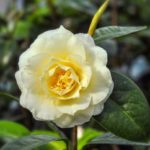 f27c3b7d084f1fc0548fe6f58062d3