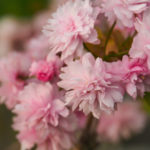 c14242ad565b1b853fe7676ff3c2ca