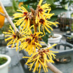 16fc796fd3c1f82c4496a7ce236476