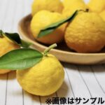 ユズ（柚子）：多田錦（ただにしき） | nae-ya｜herbal tree shop ｜ハーバルツリーショップ なえやnae-ya｜herbal  tree shop ｜ハーバルツリーショップ なえや